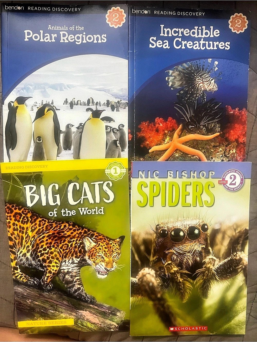 Scholastic Reading Discovery Level 1-2 Book Set